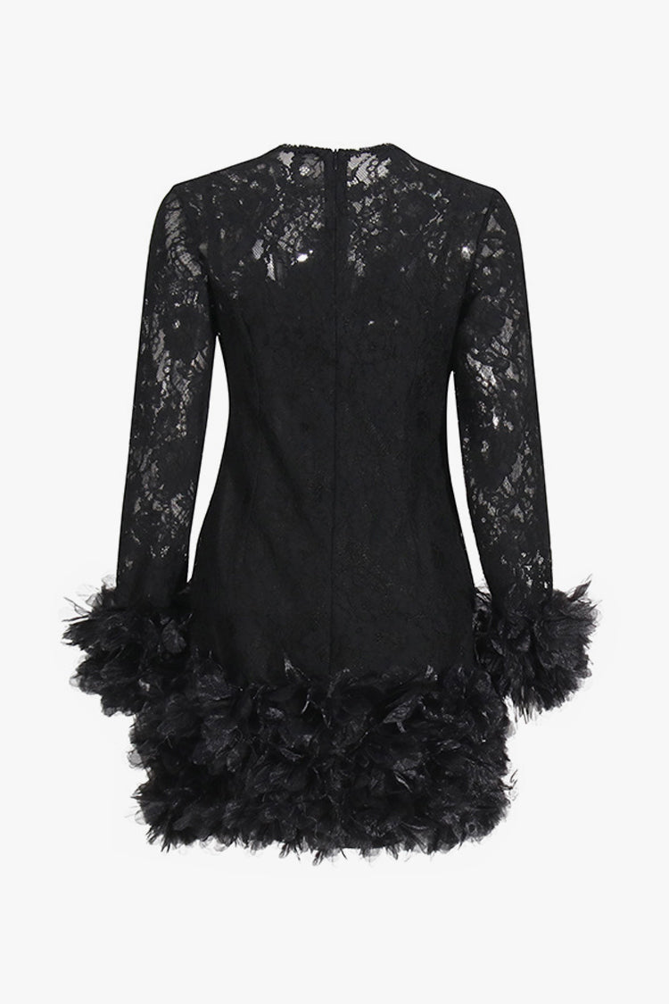 Sexy Tulle Ruffle Floral Sheer Lace Crew Neck Long Sleeve Party Mini Dress