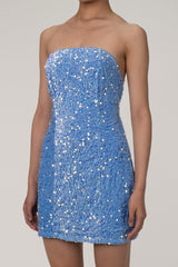 Sparkly Sequin Straight Neck Strapless Cinch Waist Velvet Mini Party Dress